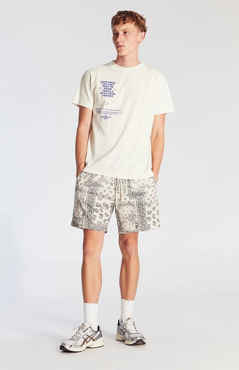 Pacsun Cream Aaron Paisley Mesh Volley Shorts