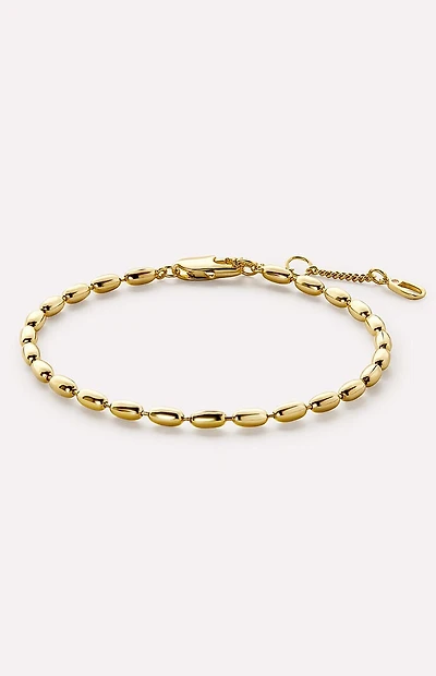 Ana Luisa Colette Gold Chain Bracelet