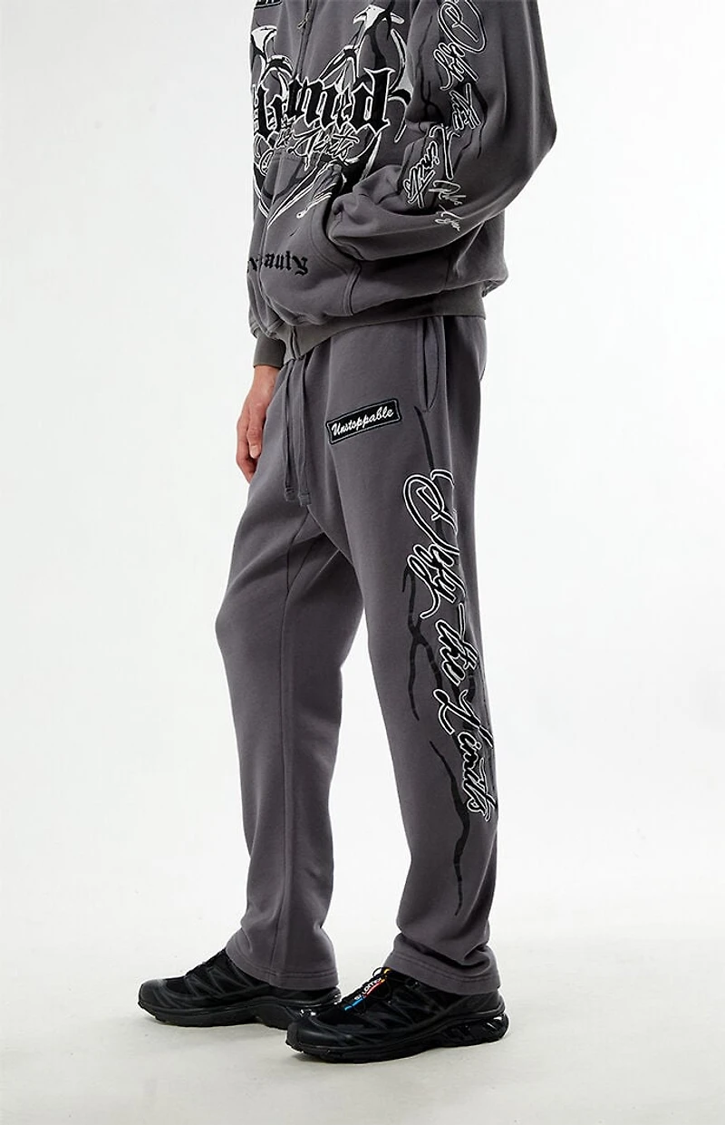 Pacsun Untamed Fleece Straight Leg Sweatpants