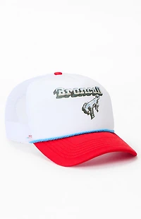 FORD Chrome Bronco Trucker Hat