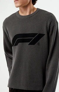 Formula 1 x Pacsun Ribbed Knit Crew Neck Sweater