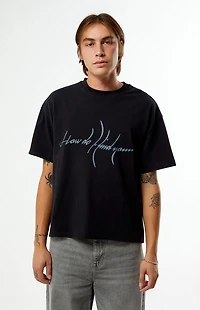 Pacsun Find You Boxy Fit T-Shirt