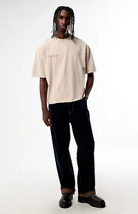 Pacsun Ecliptica Cropped Boxy T-Shirt