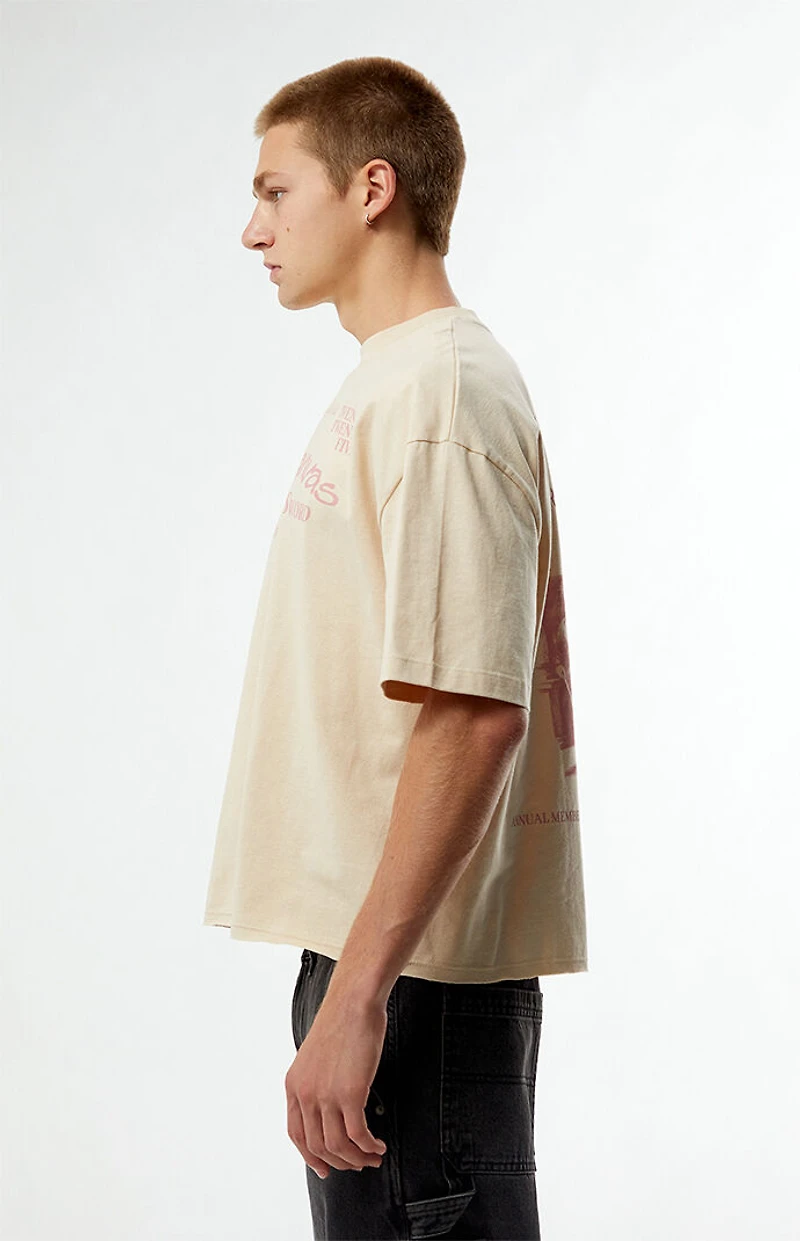 Pacsun Crown And Canvas Cropped Boxy T-Shirt