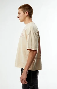 Pacsun Crown And Canvas Cropped Boxy T-Shirt