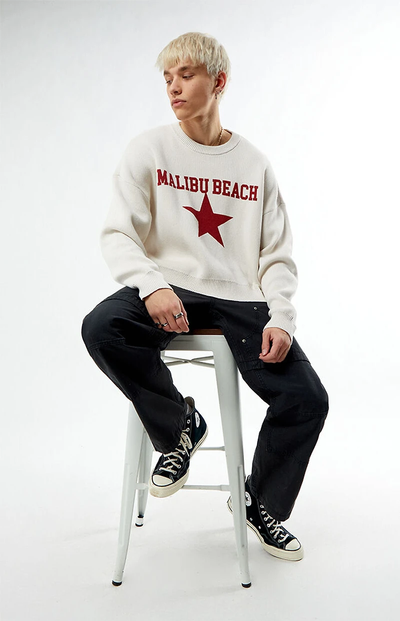 Pacsun Malibu Beach Sweater