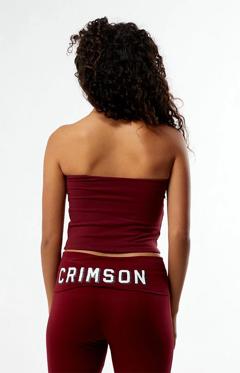 HYPE & VICE Harvard Crimson Embroidered Tube Top