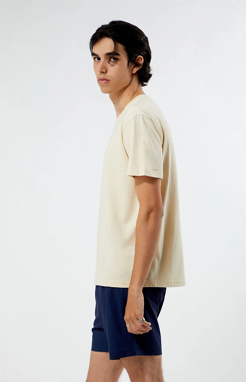 Pacsun LA Embroidered T-Shirt