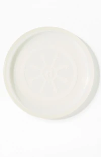 Hidden NY Clear Frisbee