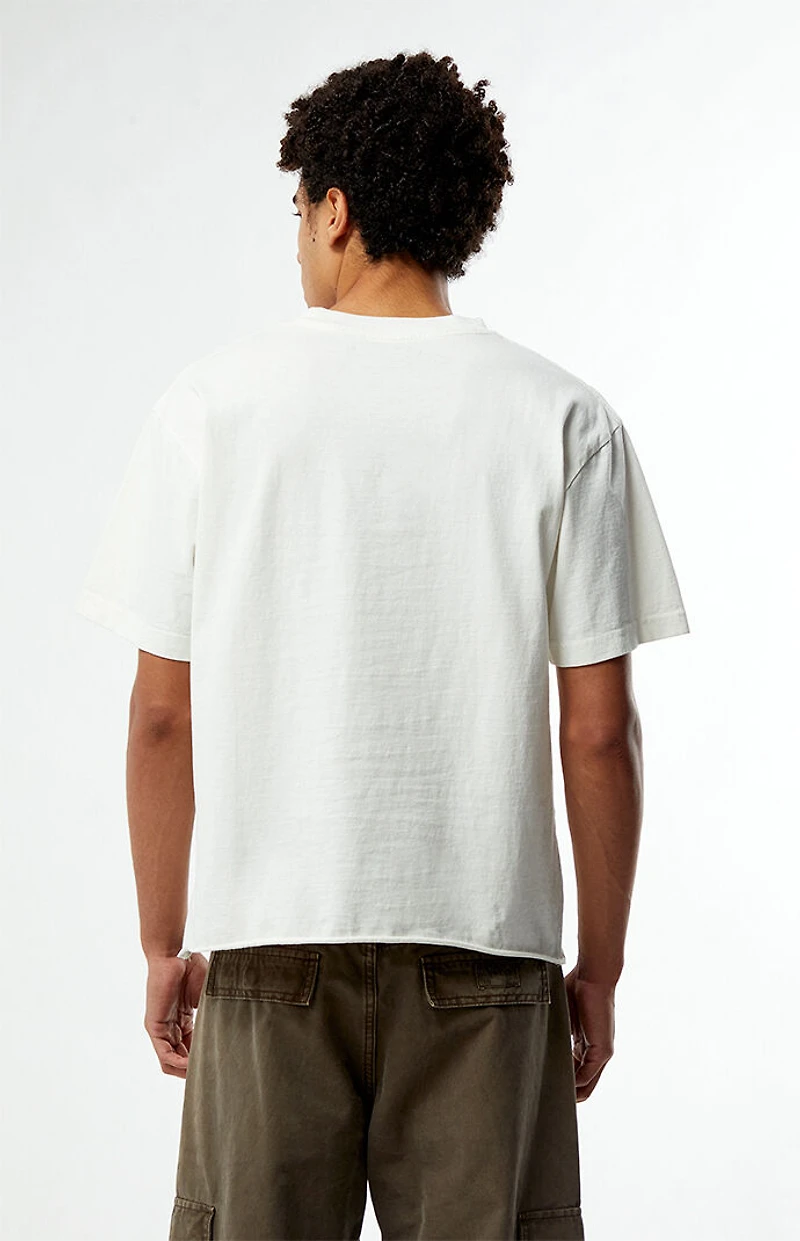Pacsun White Premium Cropped T-Shirt
