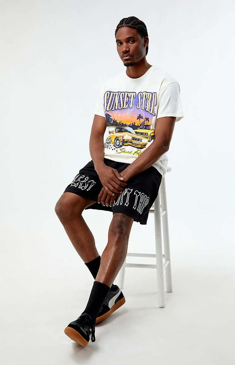 Pacsun Sunset Strip Vintage T-Shirt