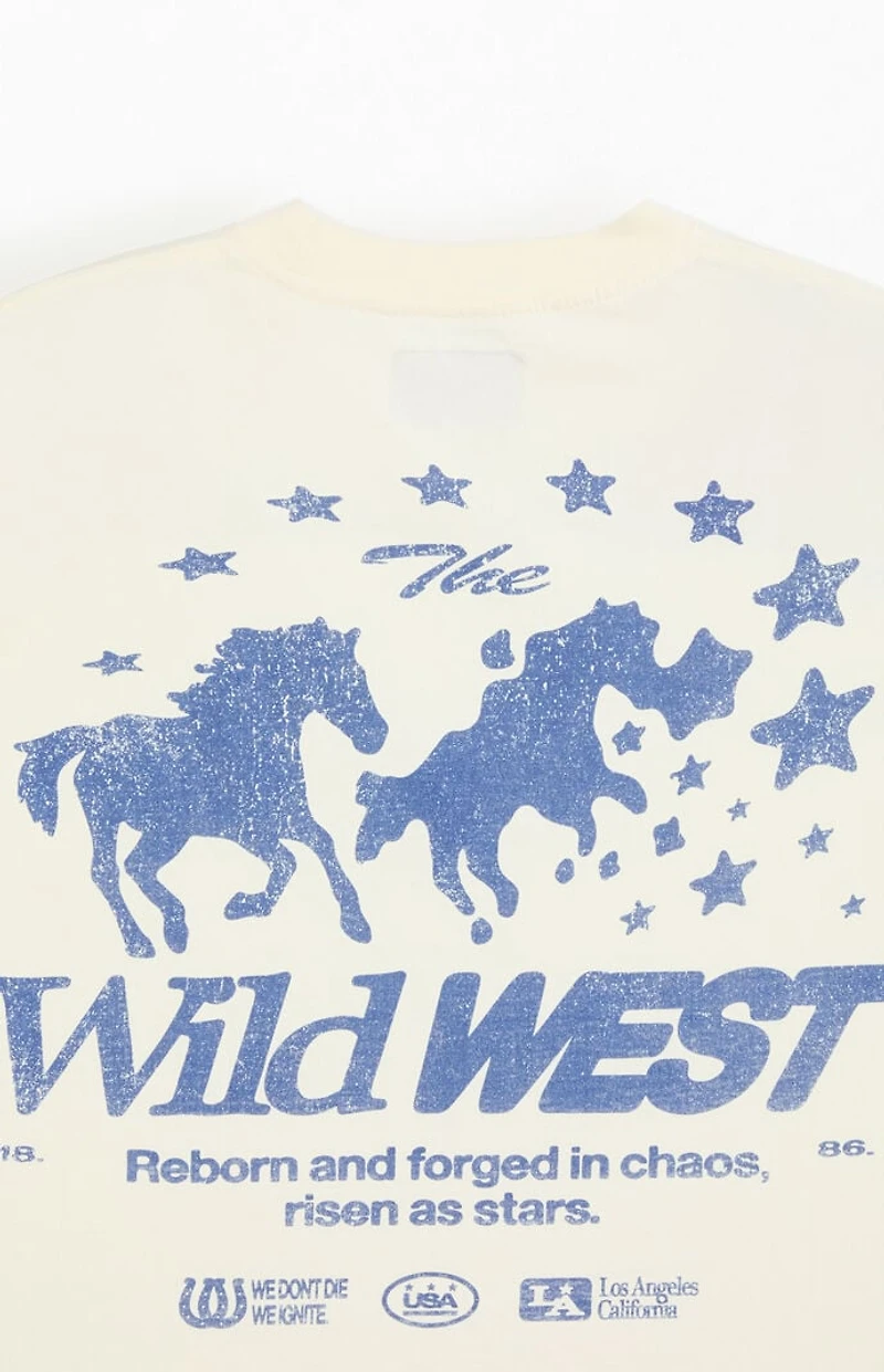 Pacsun Wild West Cropped T-Shirt