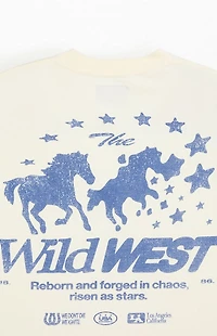 Pacsun Wild West Cropped T-Shirt
