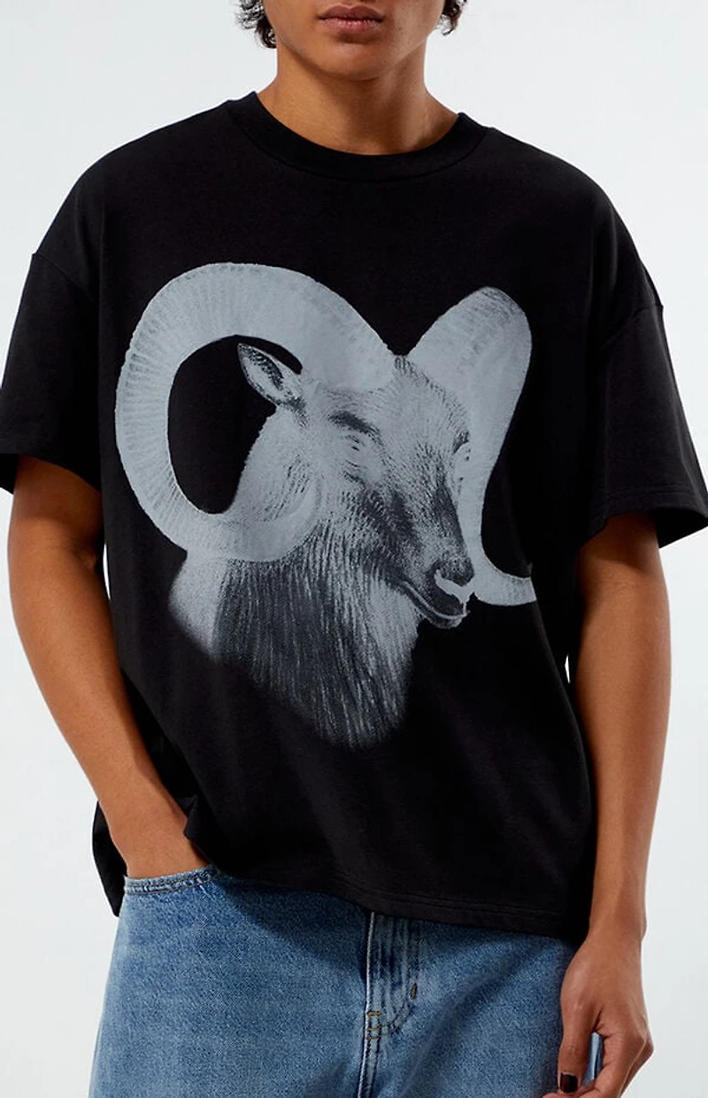 Pacsun Ram Cropped Boxy T-Shirt