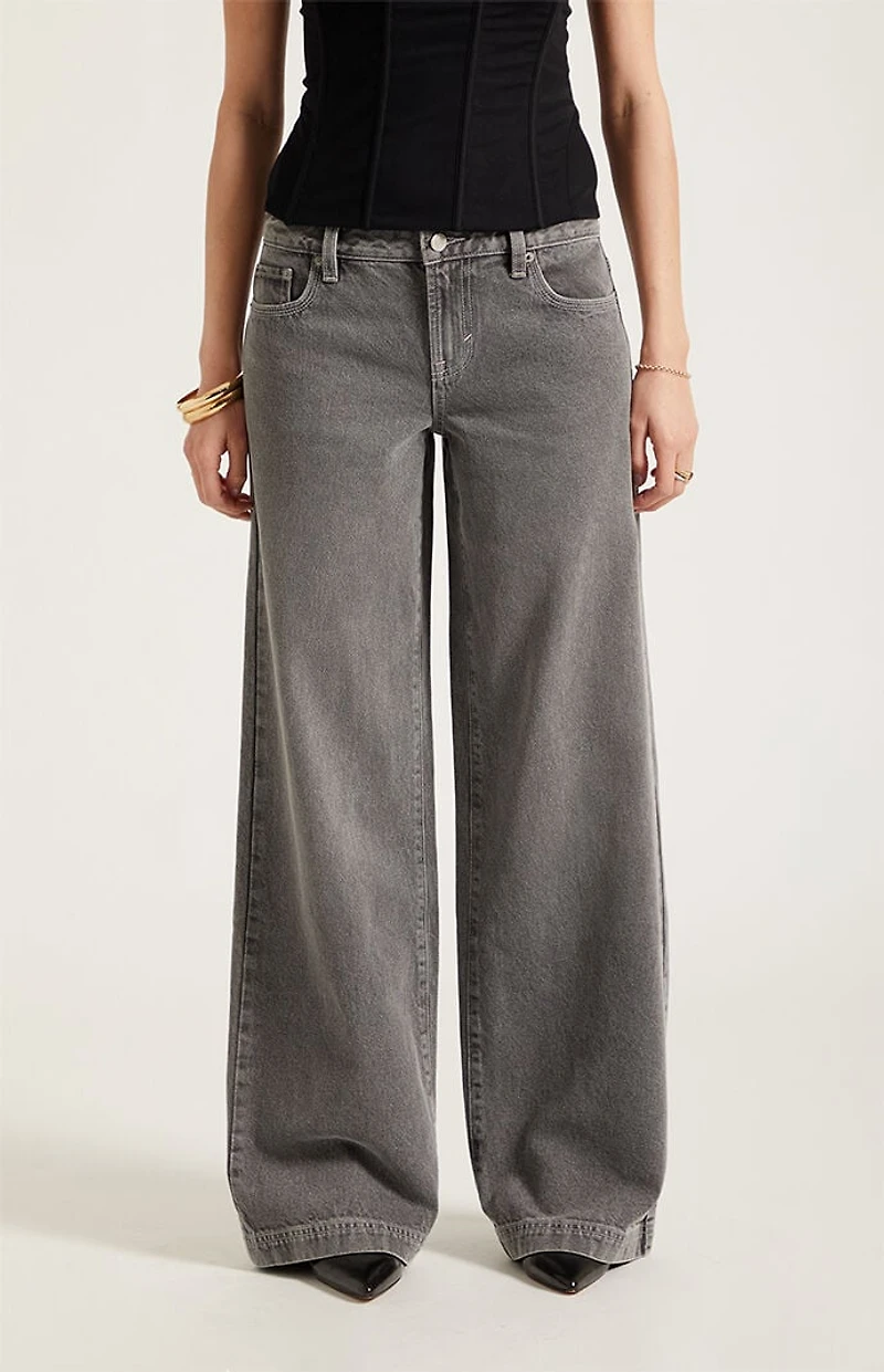 Pacsun Casey Low Rise Baggy Jeans Gray