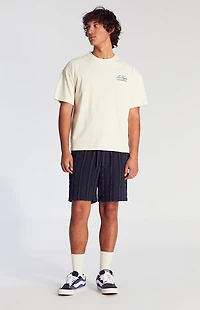 Pacsun Navy Striped Textured Volley Shorts