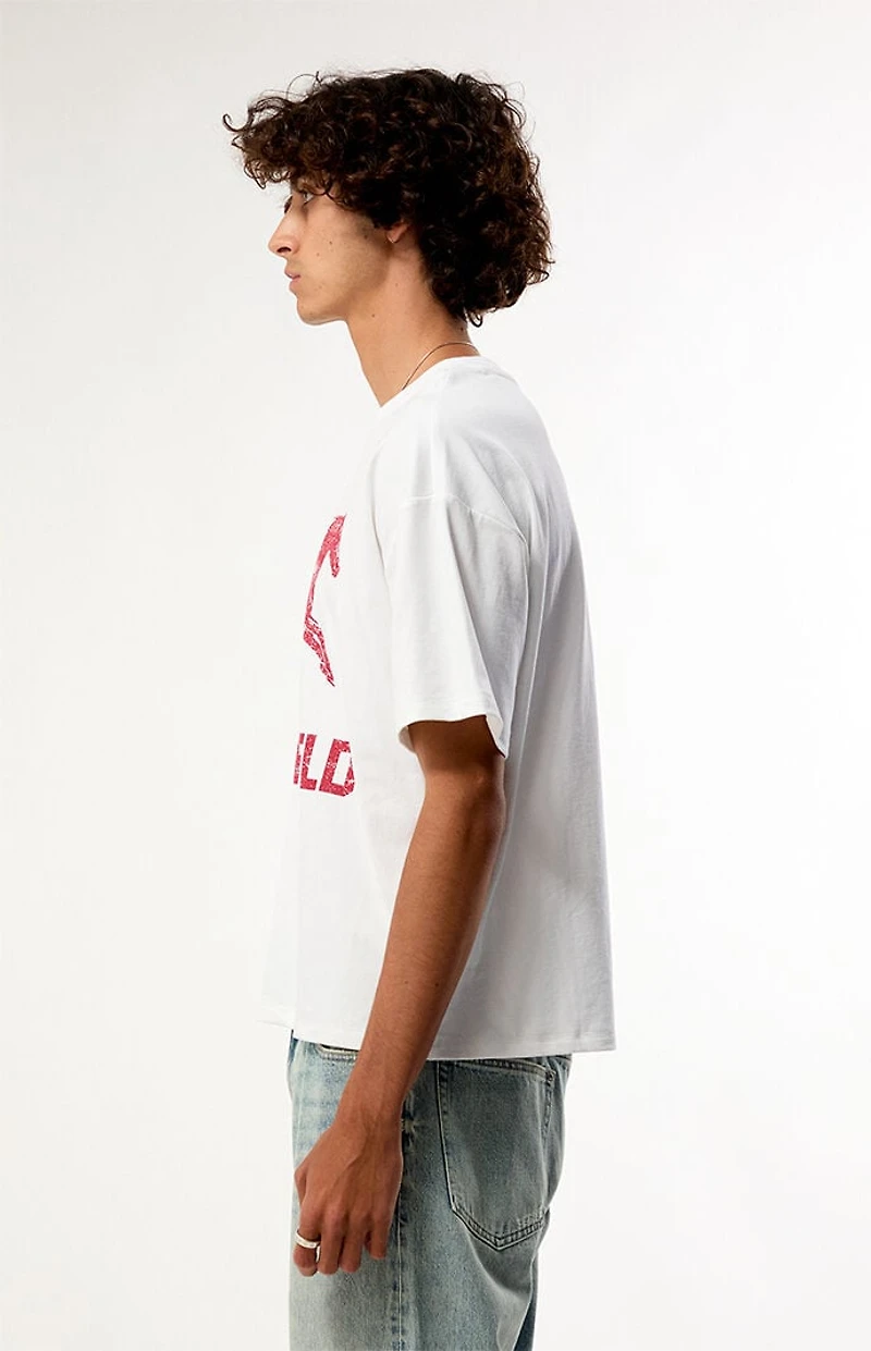 Pacsun South Field T-Shirt