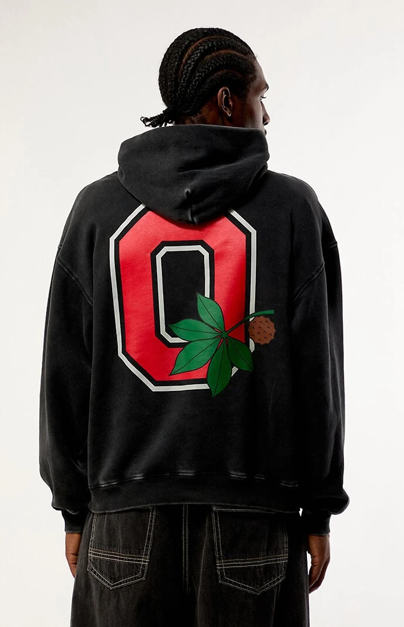 Ohio State Buckeyes Washed Fleece Hoodie