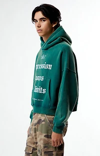 Pacsun Expression Cropped Hoodie