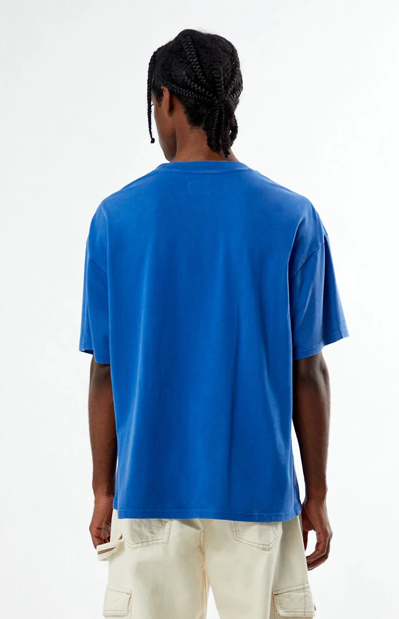 Pacsun Mother Earth T-Shirt