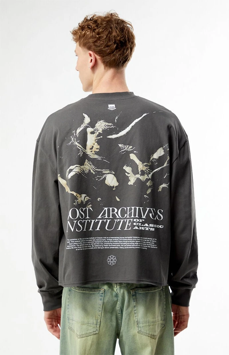 Pacsun Lost Archives Cropped Long Sleeve T-Shirt