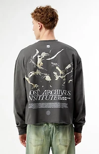 Pacsun Lost Archives Cropped Long Sleeve T-Shirt