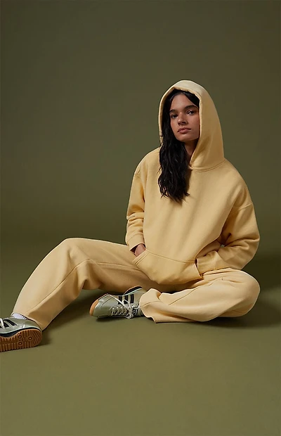 Pacsun Ultra Soft Fleece Core Vintage Wash Pullover Hoodie