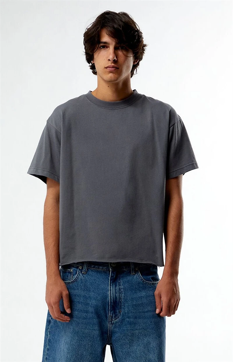 Pacsun Premium Cropped T-Shirt