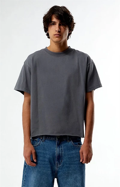 Pacsun Premium Cropped T-Shirt