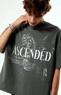 Pacsun Ascended Cropped Boxy T-Shirt
