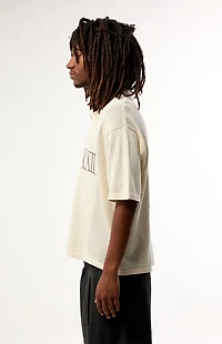 Pacsun Roman Polo Shirt
