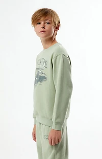 Pacsun Kids Sage Adventure Crew Neck Sweatshirt