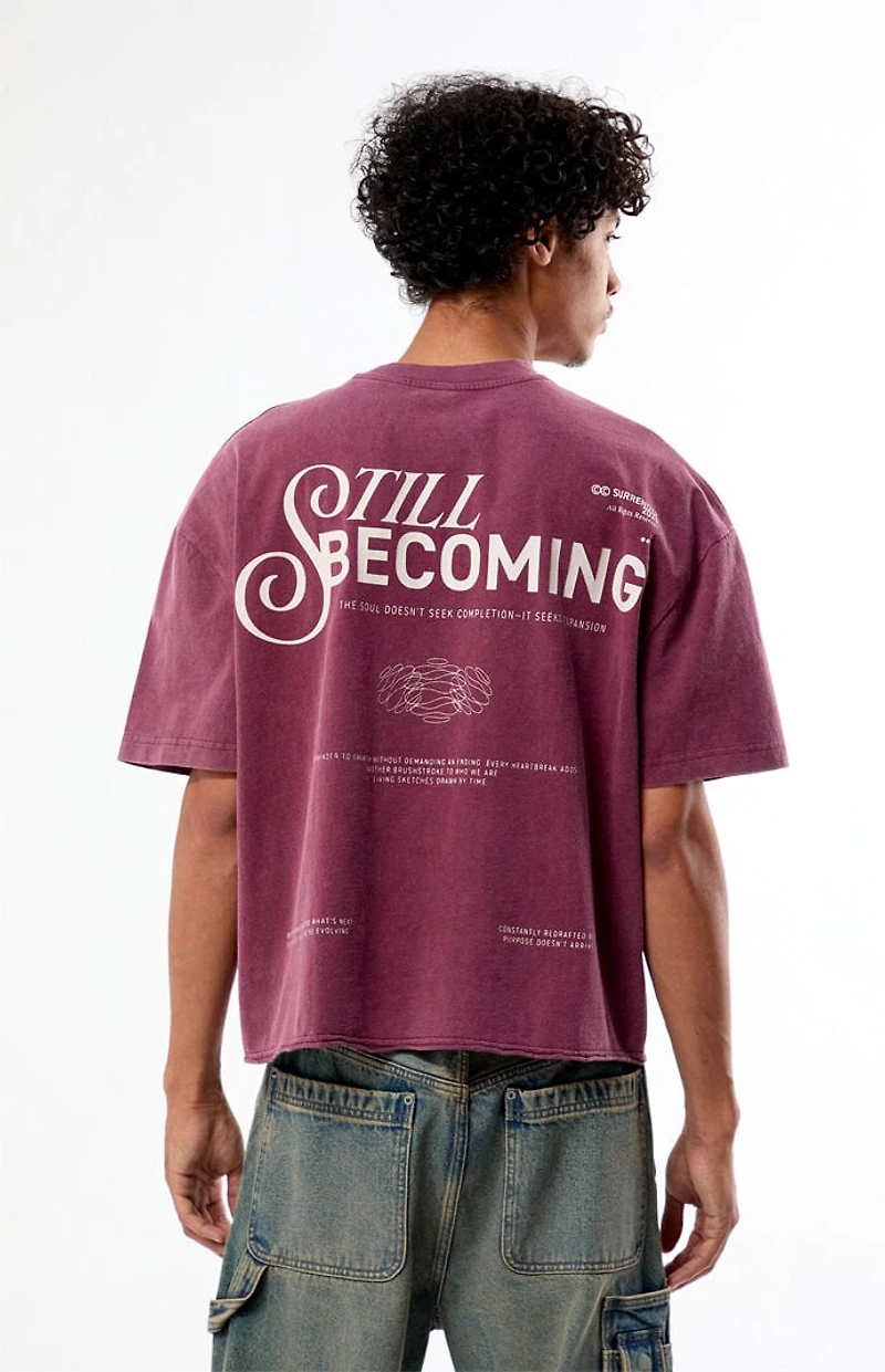 Pacsun Still Becoming Cropped Boxy T-Shirt