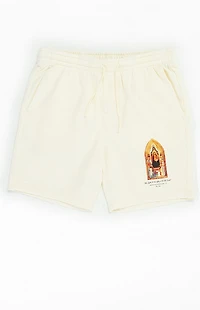 Pacsun Madonna Fleece Sweat Shorts