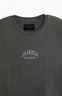 Pacsun Los Angeles Embroidered Vintage Wash T-Shirt