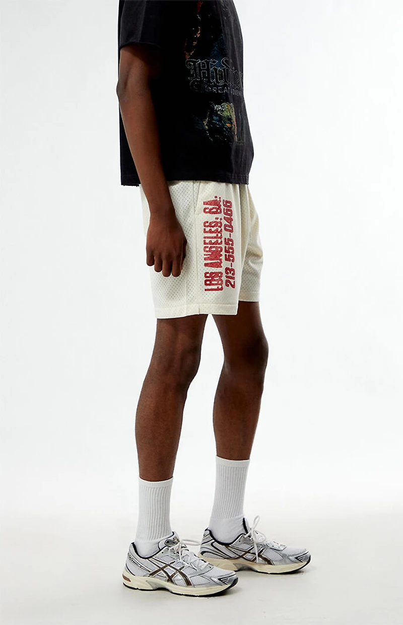 Pacsun Fang Lounge Mesh Basketball Shorts
