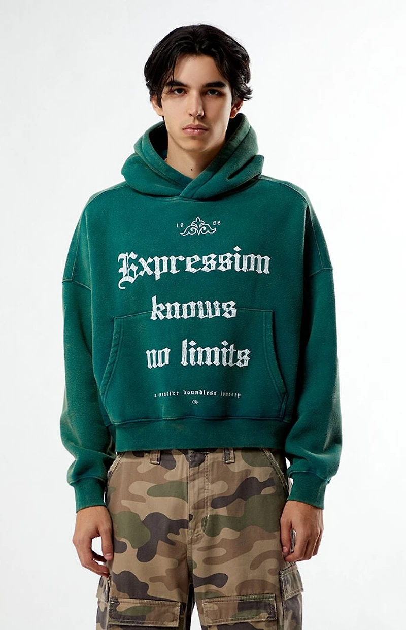 Pacsun Expression Cropped Hoodie