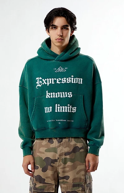 Pacsun Expression Cropped Hoodie