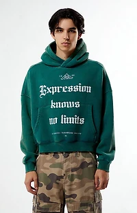 Pacsun Expression Cropped Hoodie
