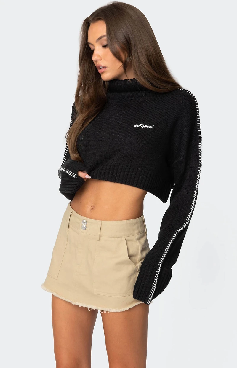 Edikted Embroidered Edge Cropped Turtle Neck Sweater