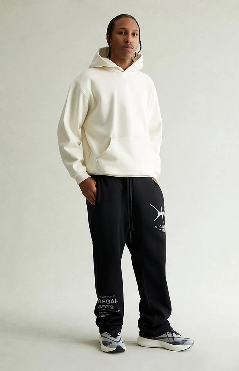 Pacsun Regal Arts Baggy Sweatpants