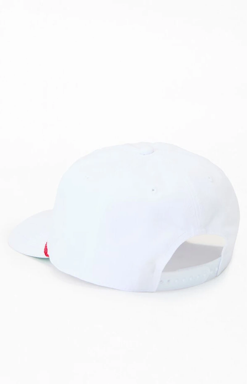 Pacsun Pabst Blue Ribbon Golf Team Snapback Hat