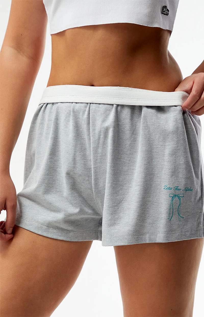 HYPE & VICE Zeta Tau Alpha P.E. Shorts