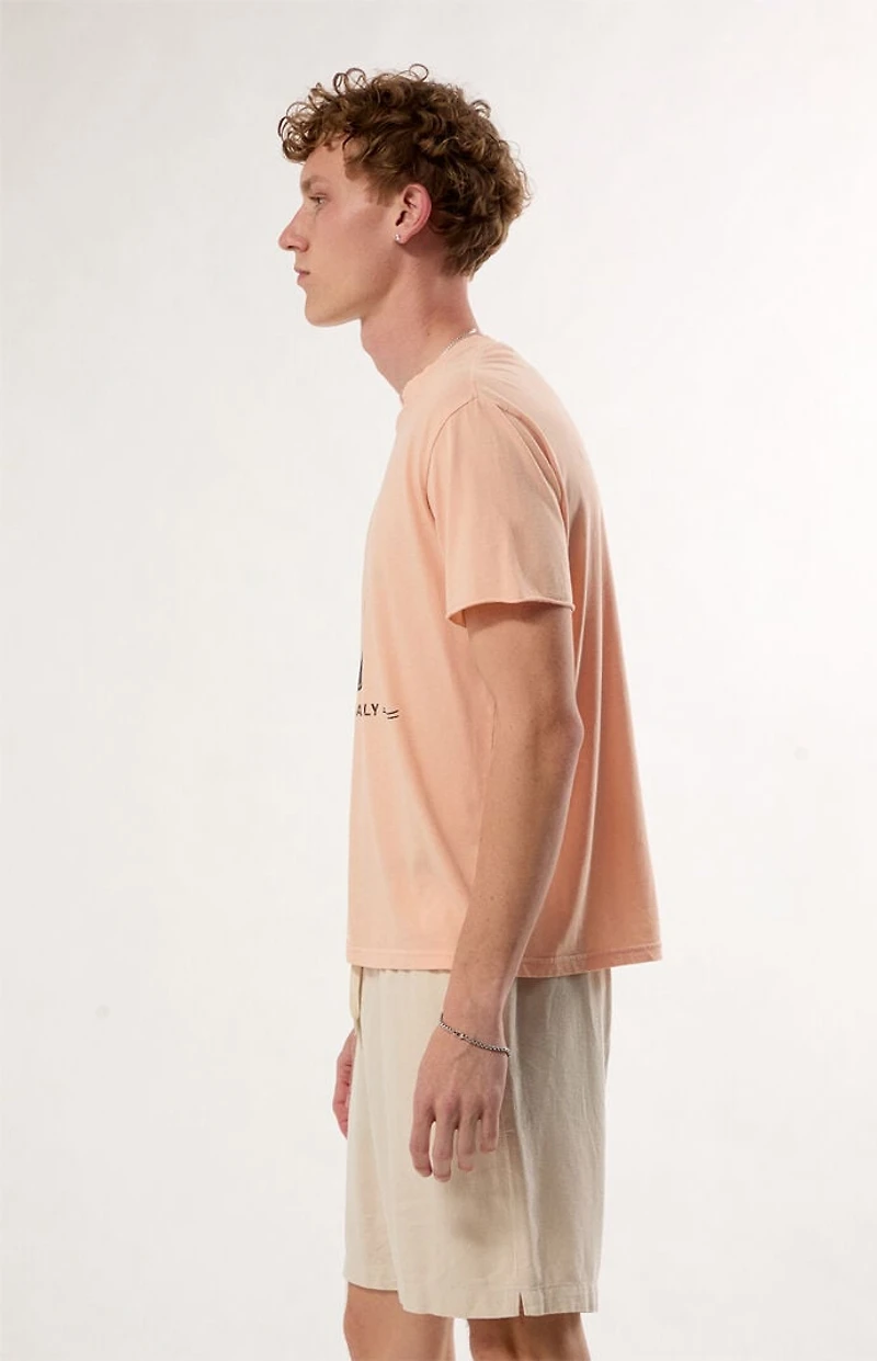 Pacsun Locals Only Rolled Hem T-Shirt