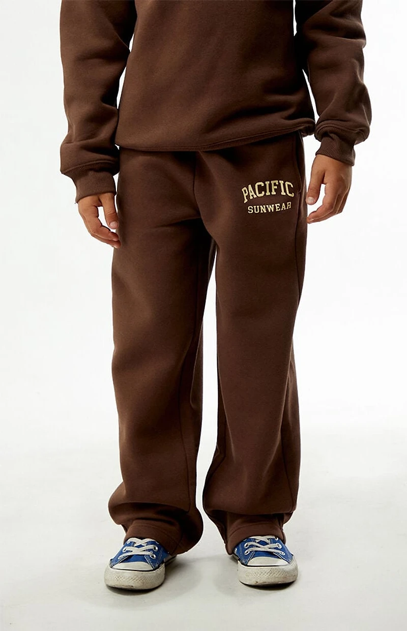 Pacsun Kids Brown Baggy Sweatpants