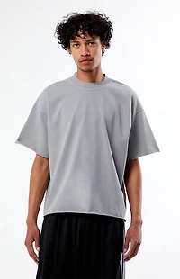 Pacsun Gray Heavyweight Cropped T-Shirt