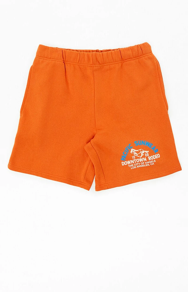 Pacsun Downtown Rodeo Fleece Sweat Shorts