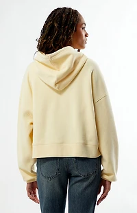 Pacsun Hamptons Cropped Zip Up Hoodie