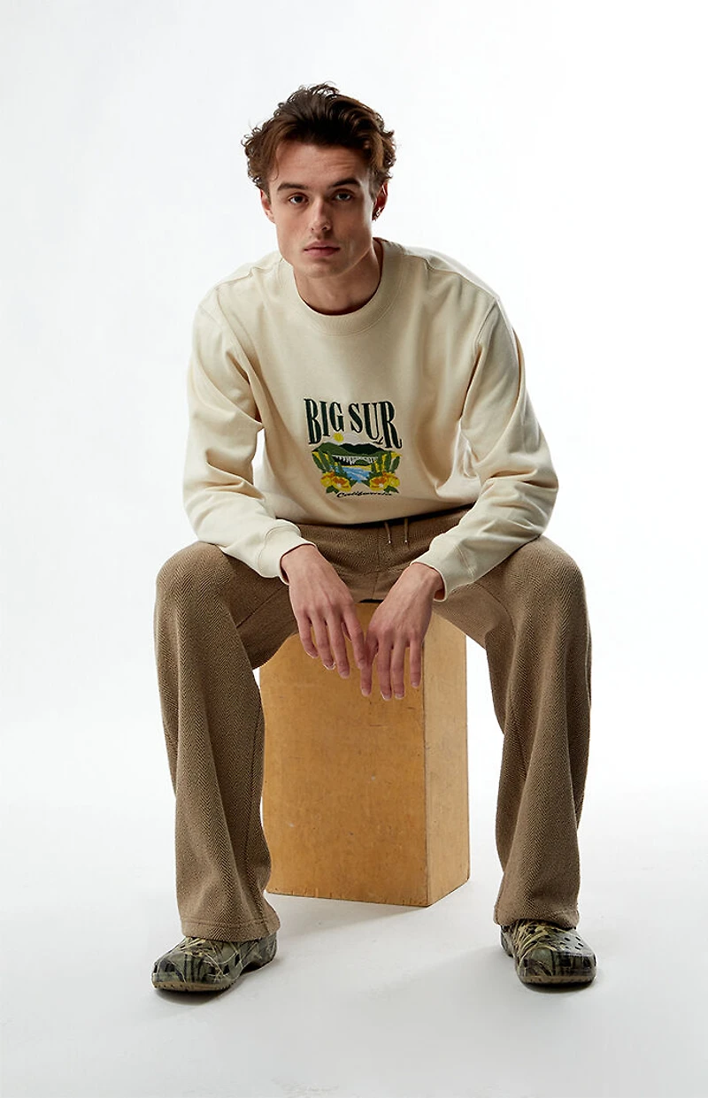 Pacsun Big Sur Embroidered Crew Neck Sweatshirt