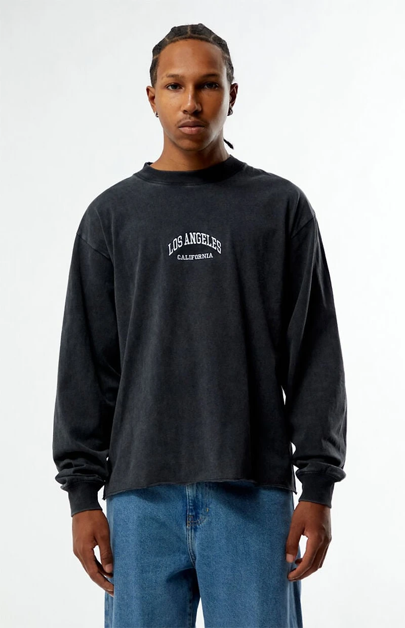 Pacsun Los Angeles Embroidered Long Sleeve T-Shirt